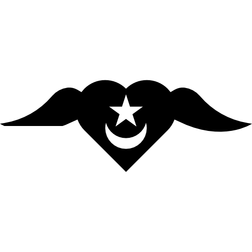 sufi icon